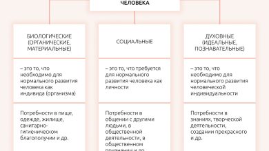 Photo of Дизайн, который вдохновляет красотой
