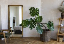 Photo of Как использовать зеркала в дизайне