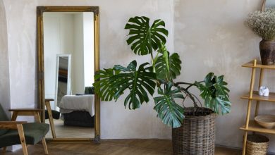 Photo of Как использовать зеркала в дизайне