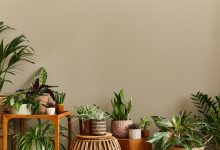 Photo of Растения в интерьере: тренд 2022