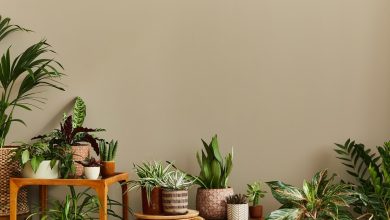 Photo of Растения в интерьере: тренд 2022